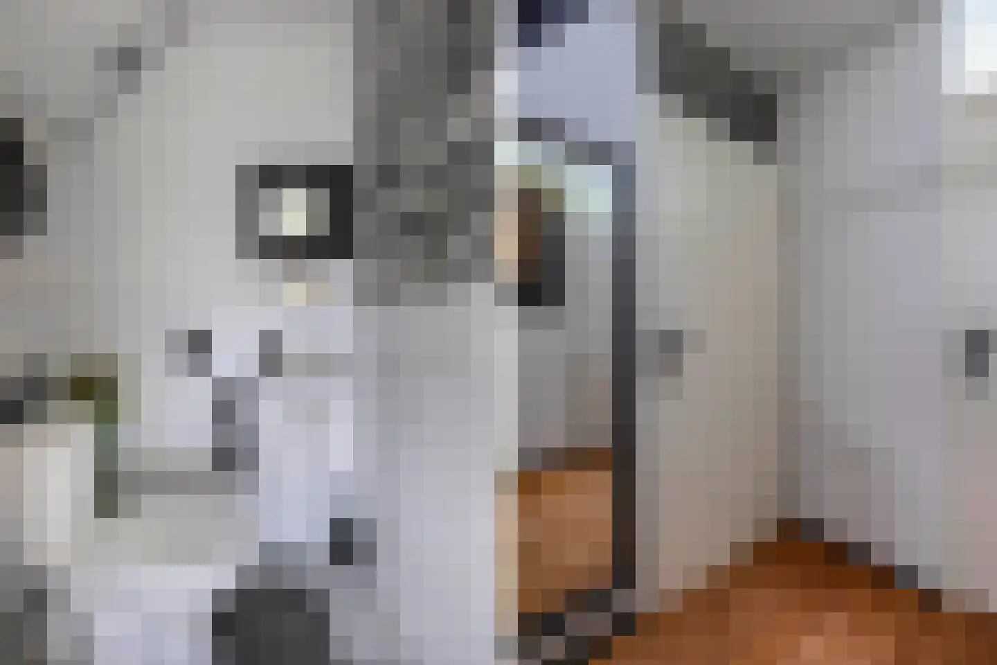 Afrikalaan 69 Alphen aan den Rijn thumbnail 29