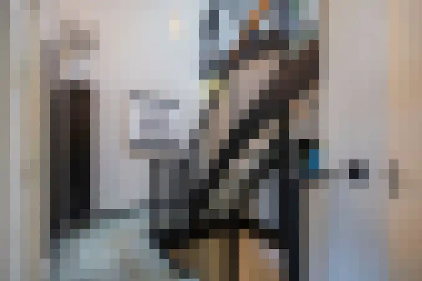 Afrikalaan 69 Alphen aan den Rijn thumbnail 30