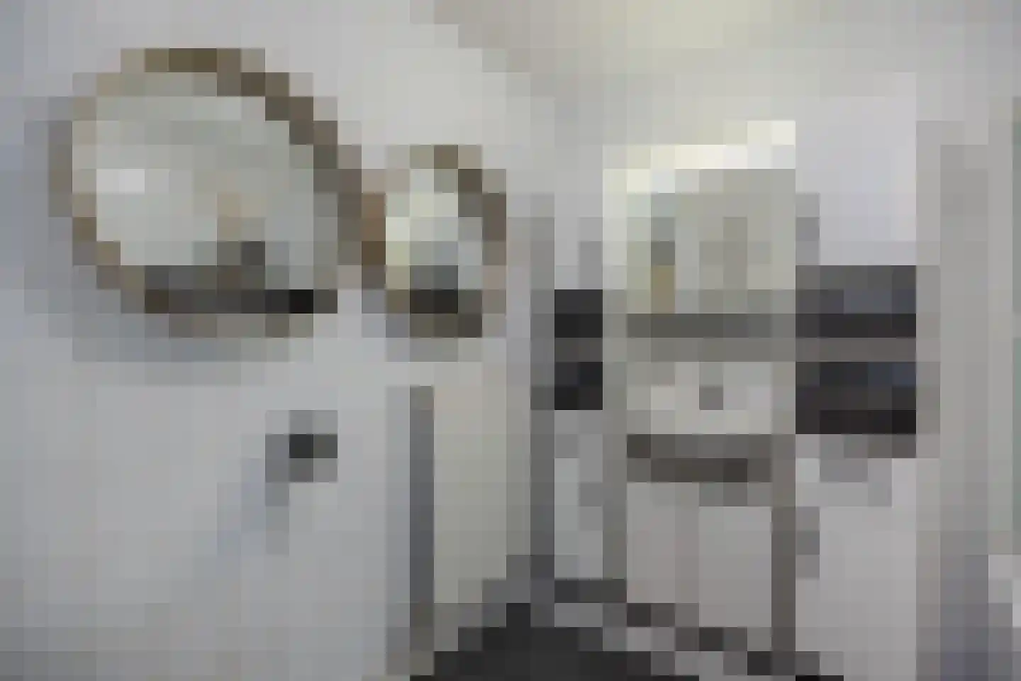 Afrikalaan 69 Alphen aan den Rijn thumbnail 37