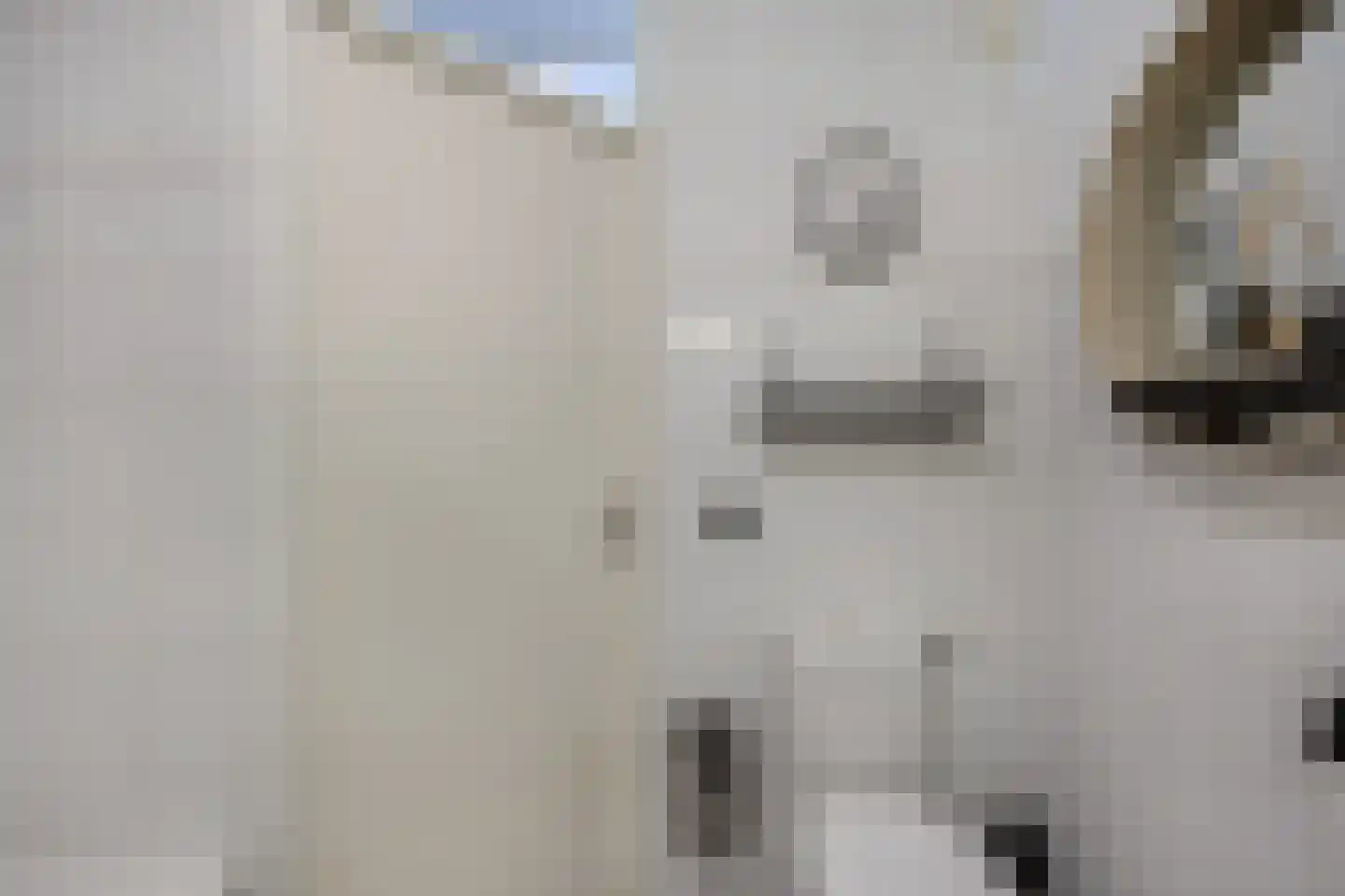 Afrikalaan 69 Alphen aan den Rijn thumbnail 40