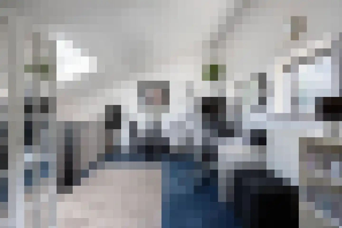 Afrikalaan 69 Alphen aan den Rijn thumbnail 46