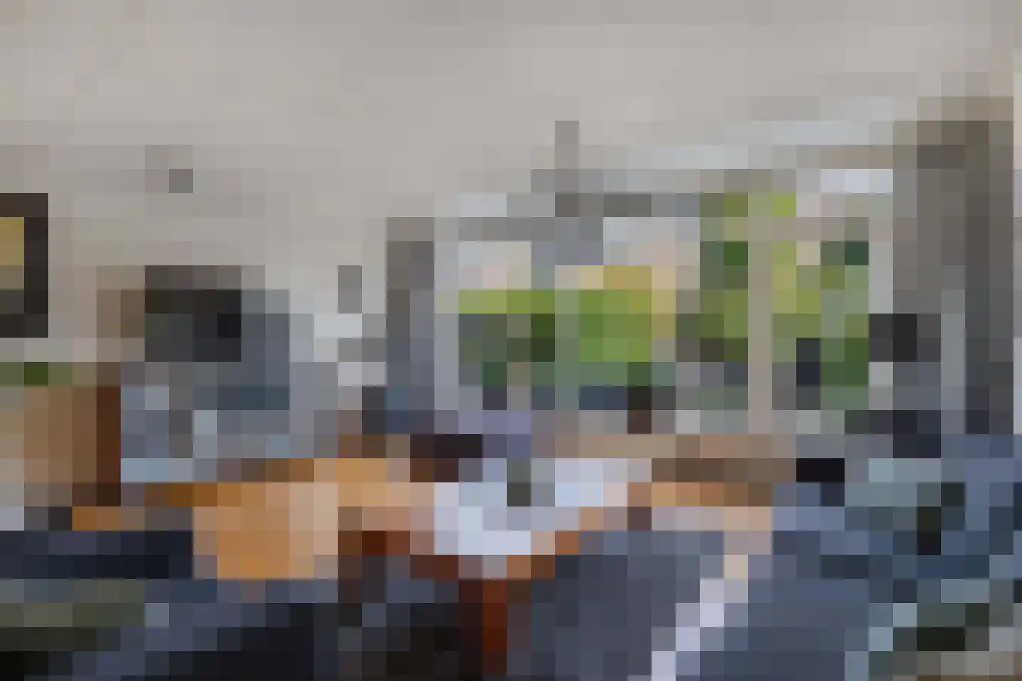 Afrikalaan 69 Alphen aan den Rijn thumbnail 5