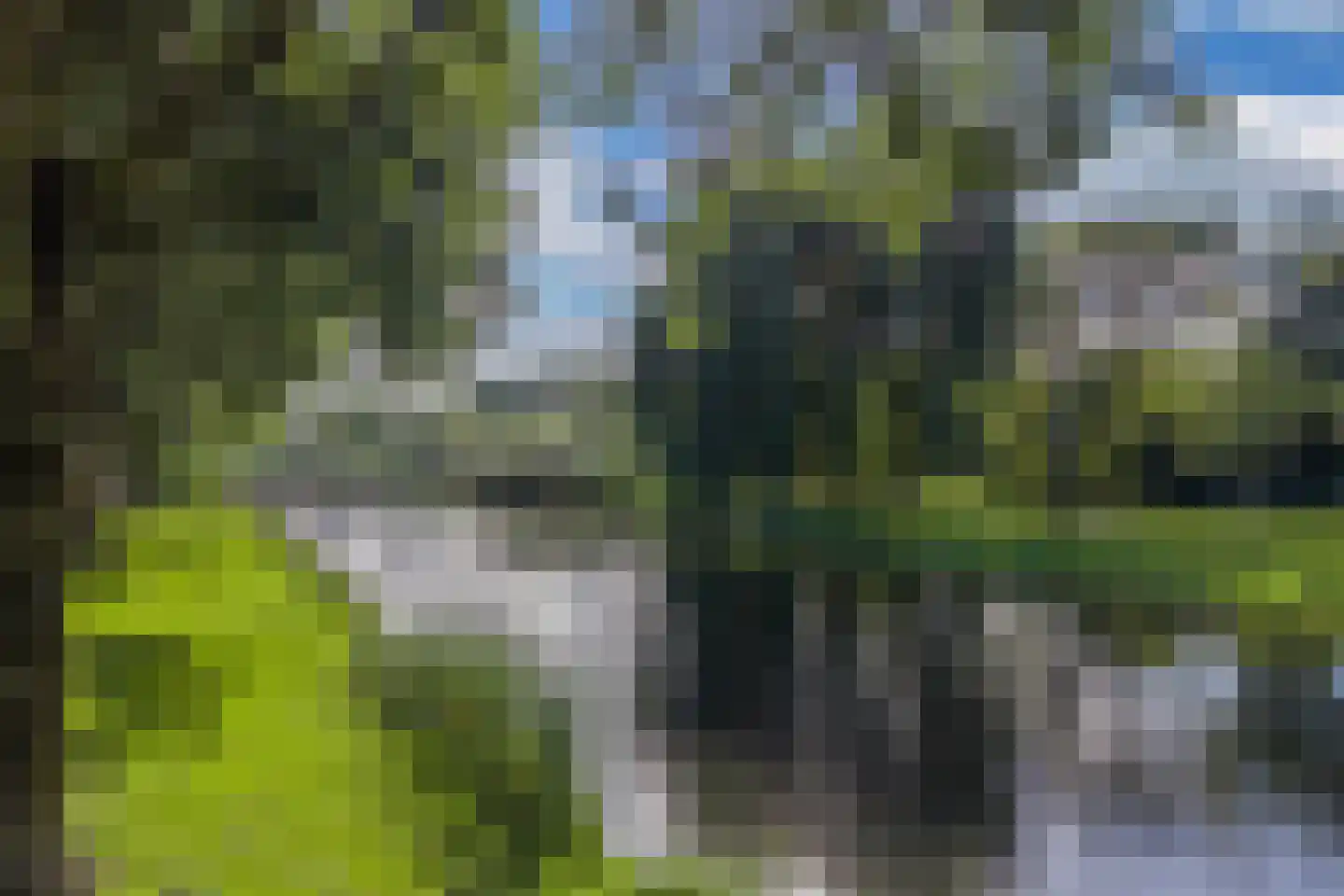 Afrikalaan 69 Alphen aan den Rijn thumbnail 53
