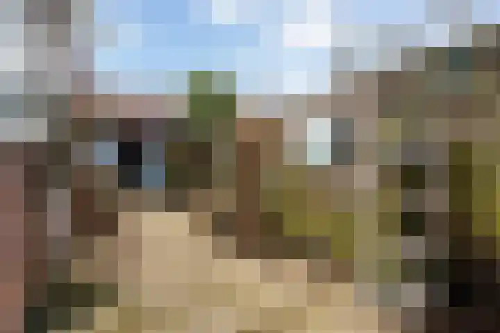 Afrikalaan 76 Delft