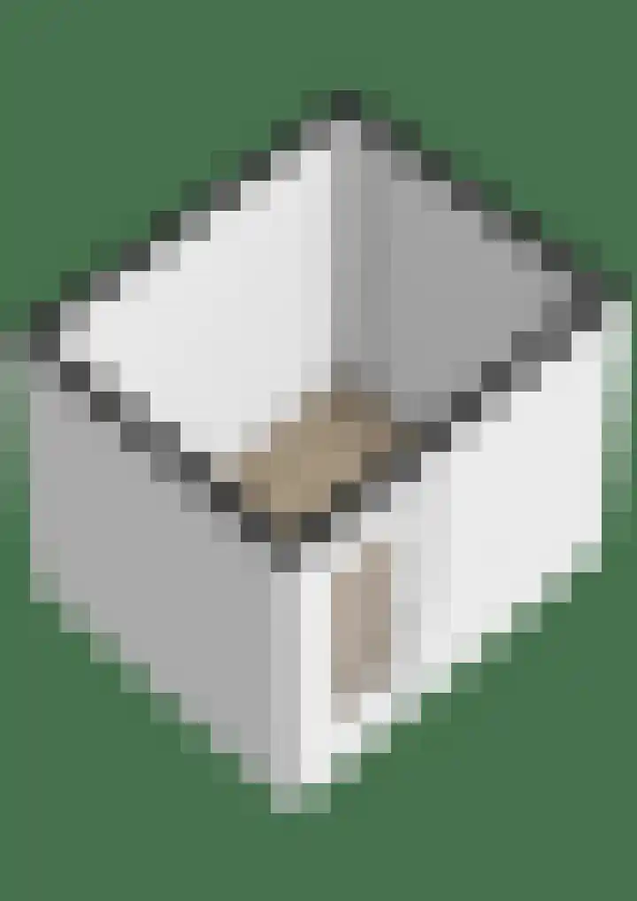 Afrikalaan 76 Delft thumbnail 21