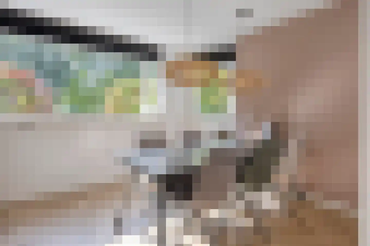 Afrikalaan 79 Alphen aan den Rijn thumbnail 13