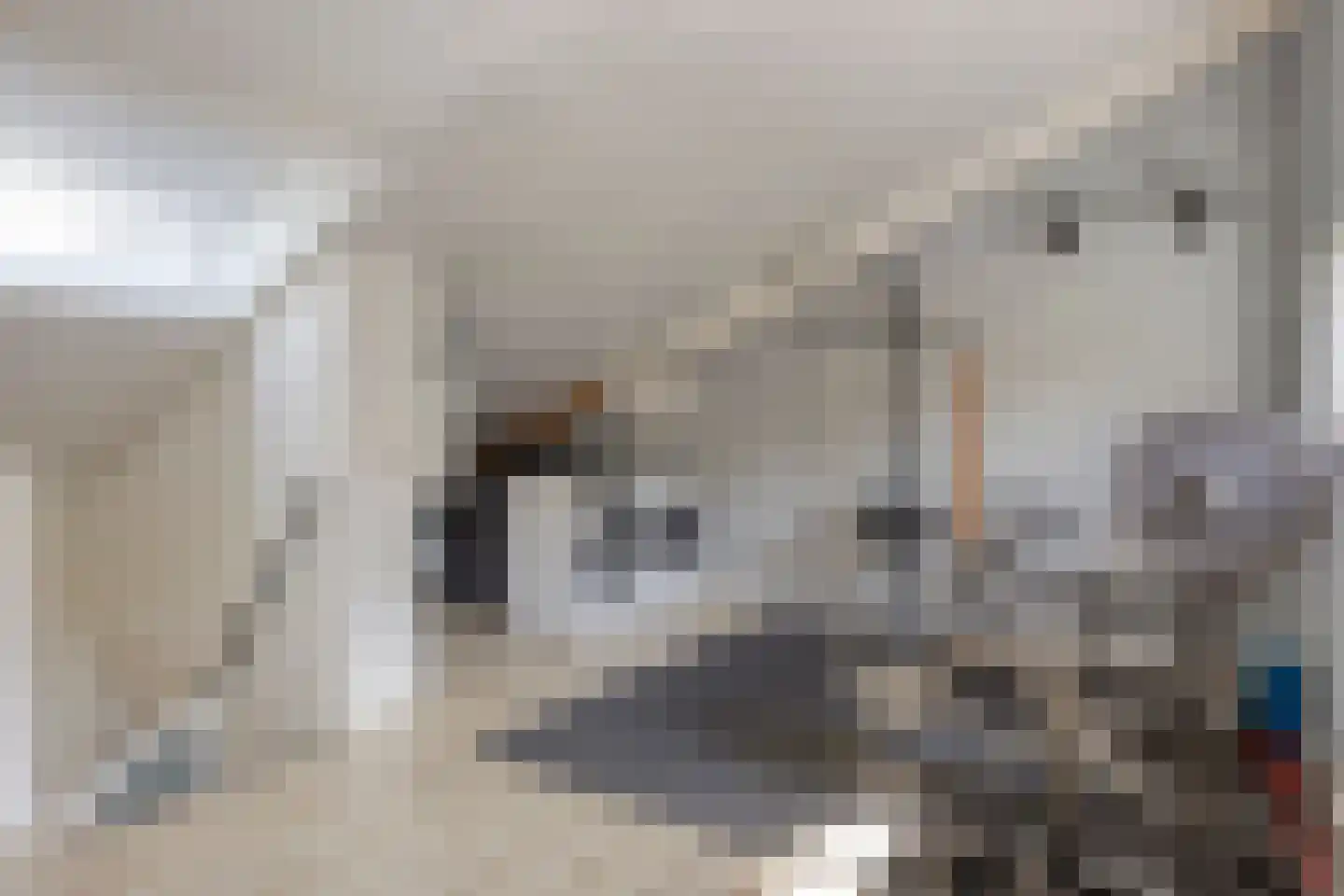 Afrikalaan 79 Alphen aan den Rijn thumbnail 30