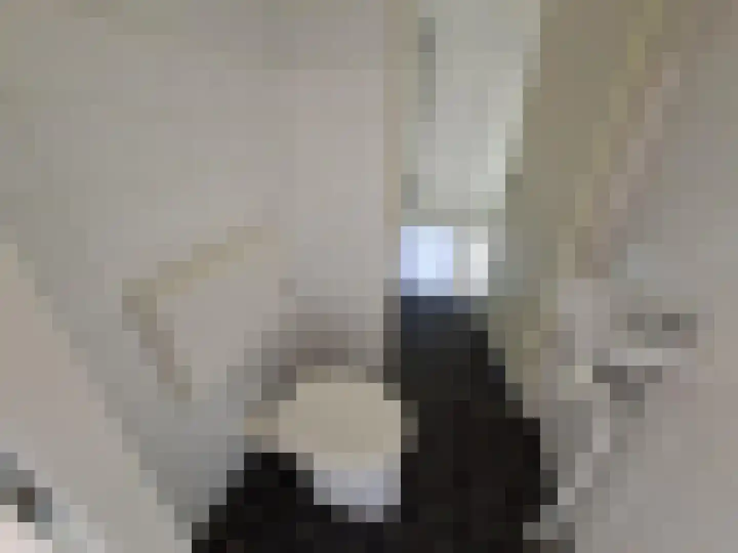 Afrikalaan 80 Delft thumbnail 6