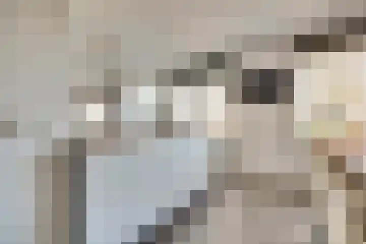 Afrikalaan 87 Drunen thumbnail 17