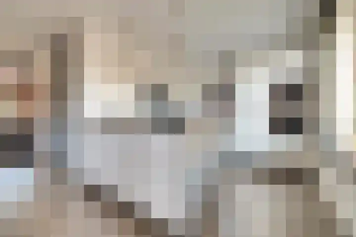 Afrikalaan 87 Drunen thumbnail 18