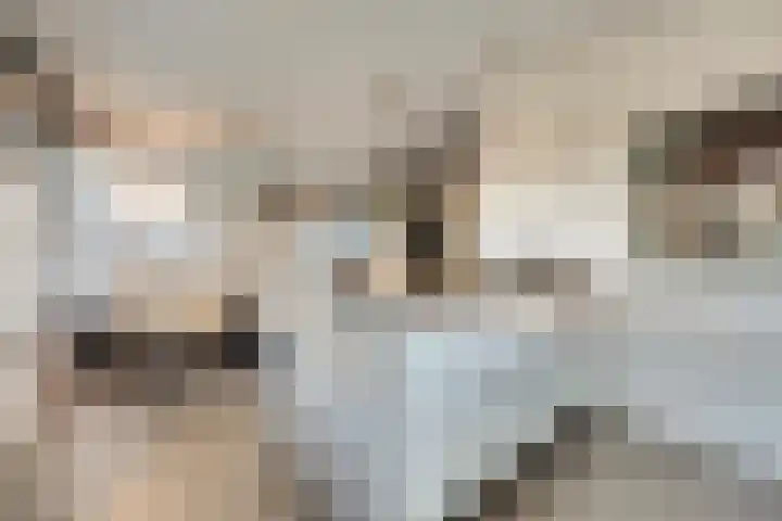 Afrikalaan 87 Drunen thumbnail 19