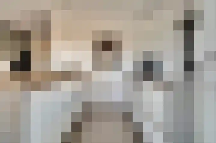 Afrikalaan 87 Drunen thumbnail 21