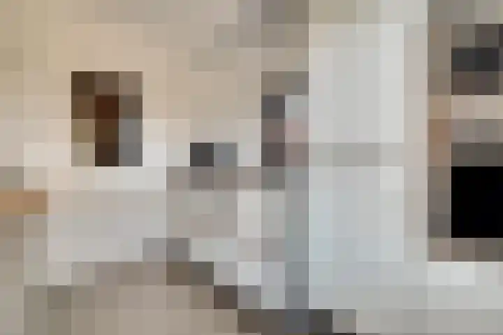 Afrikalaan 87 Drunen thumbnail 22