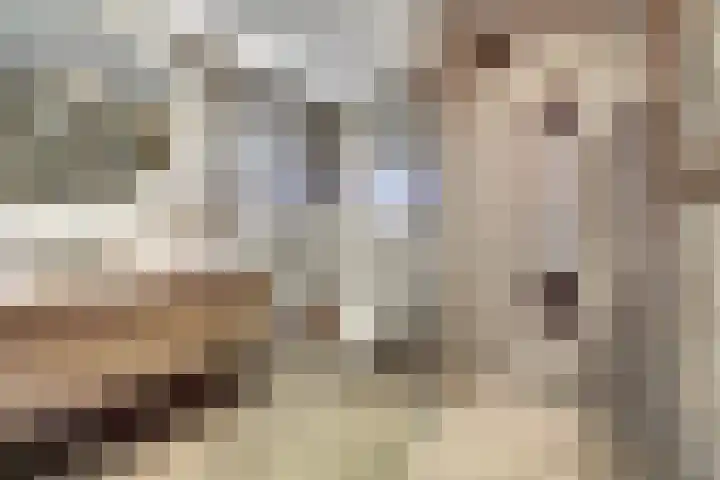 Afrikalaan 87 Drunen thumbnail 35