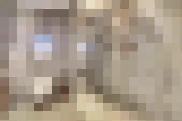Afrikalaan 87 Drunen thumbnail 36
