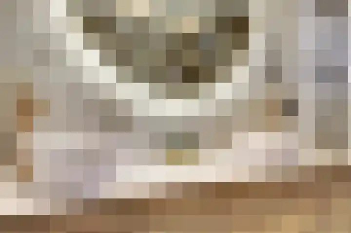 Afrikalaan 87 Drunen thumbnail 38
