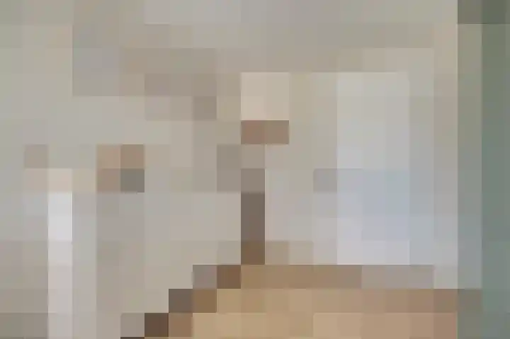 Afrikalaan 87 Drunen thumbnail 45