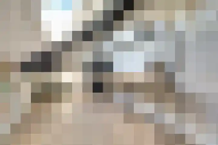 Afrikalaan 87 Drunen thumbnail 50