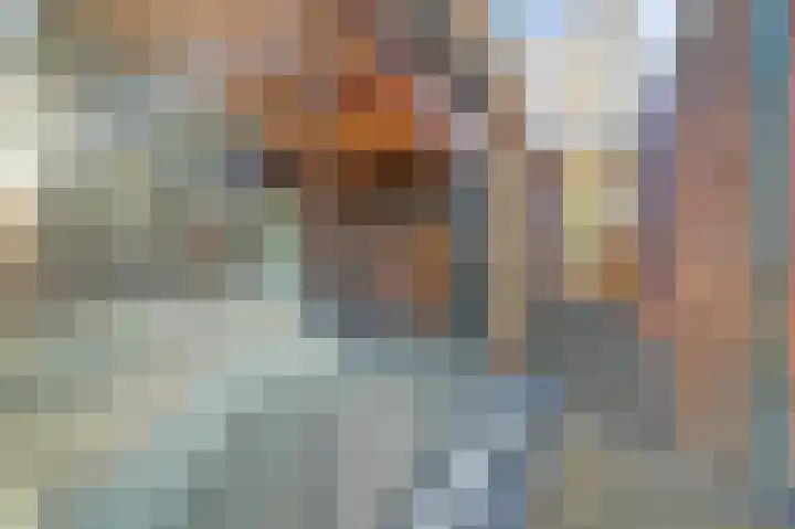 Afrikalaan 87 Drunen thumbnail 58