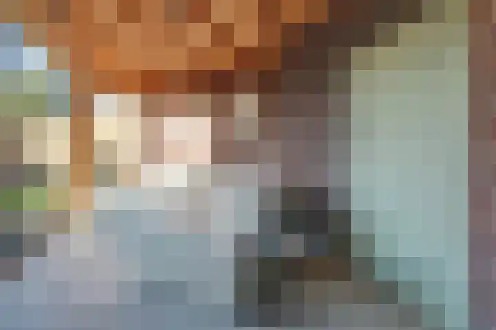 Afrikalaan 87 Drunen thumbnail 60