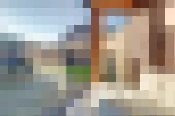 Afrikalaan 87 Drunen thumbnail 61