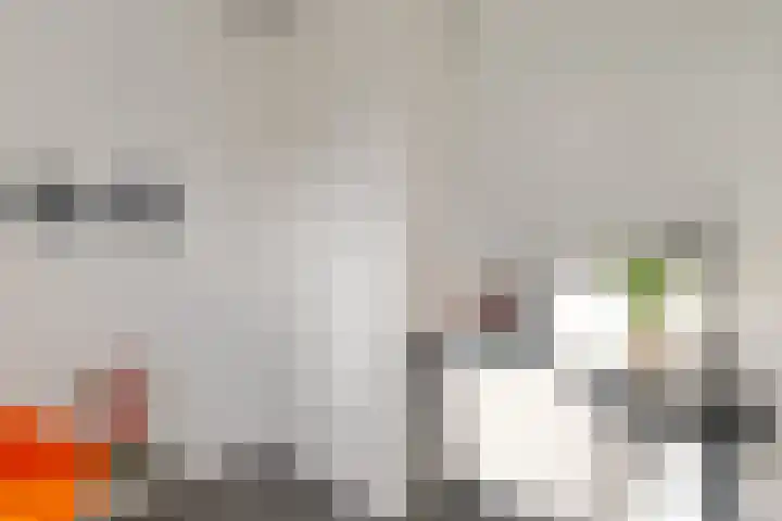 Afrikanerplein 11 1 Amsterdam thumbnail 10
