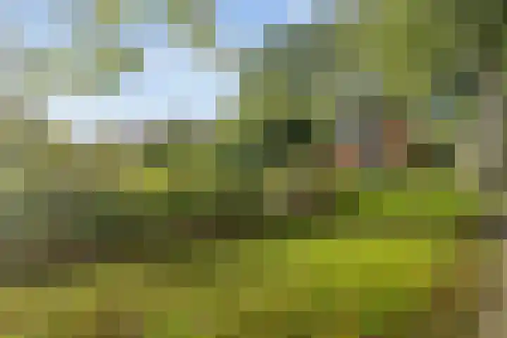 Afrikanerplein 11 1 Amsterdam thumbnail 17