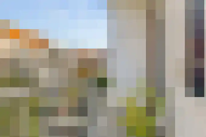 Afrikanerplein 11 1 Amsterdam thumbnail 18
