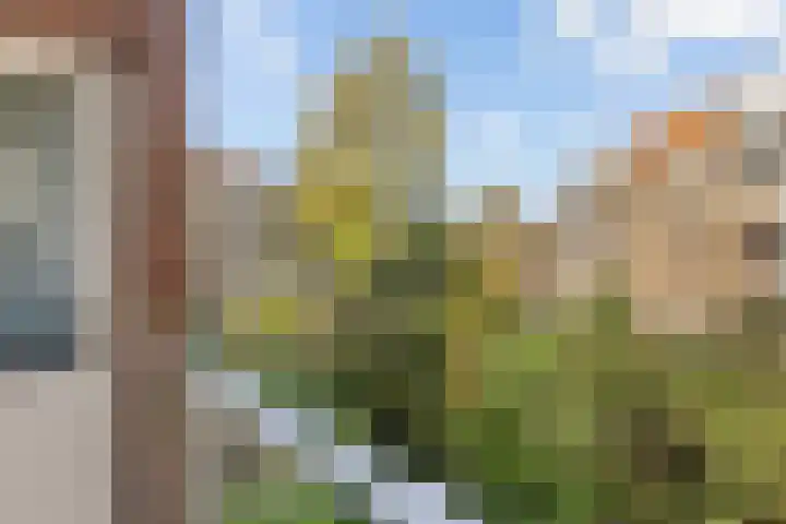 Afrikanerplein 11 1 Amsterdam thumbnail 19