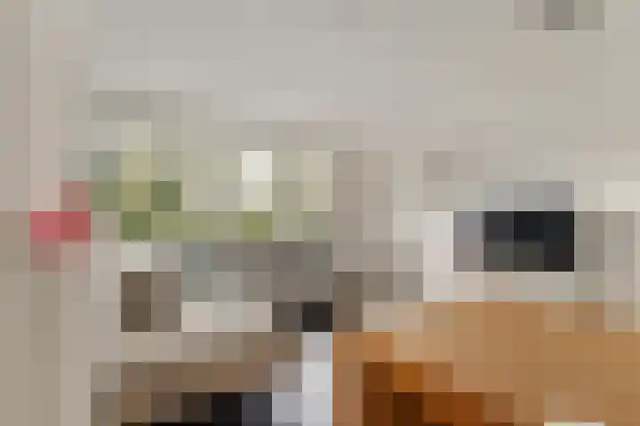 Afrikanerplein 11 1 Amsterdam thumbnail 7