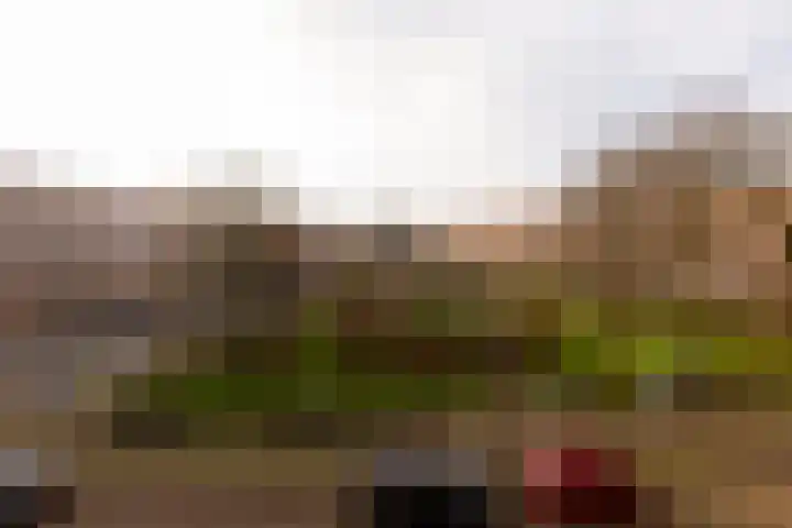 Afrikanerplein 15 3 Amsterdam thumbnail 9