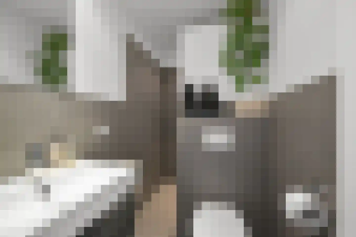 Afrikanerplein 9 1 Amsterdam thumbnail 19