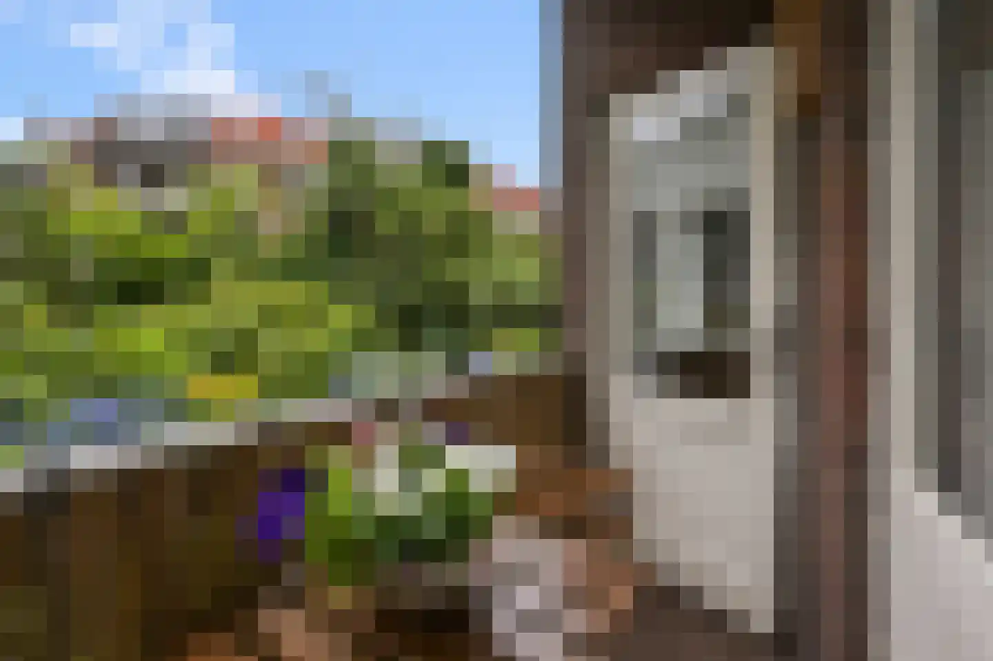 Afrikanerplein 9 1 Amsterdam thumbnail 23