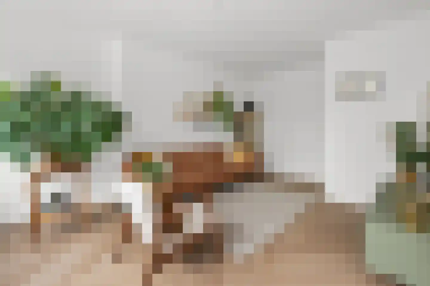 Afrikanerplein 9 1 Amsterdam thumbnail 8