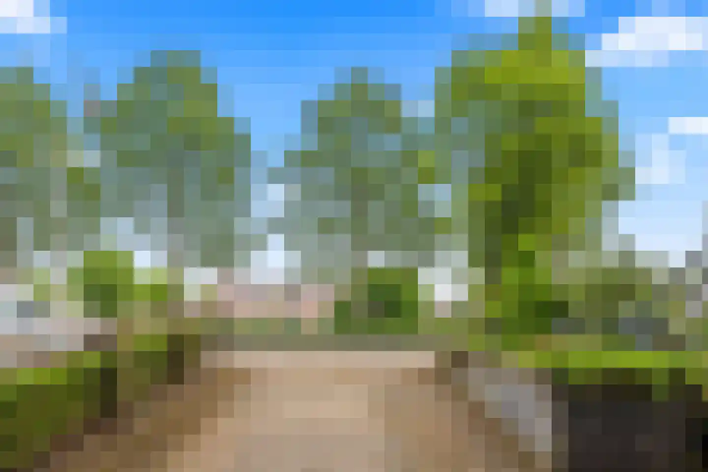 Afrikaring 105 Amersfoort thumbnail 8