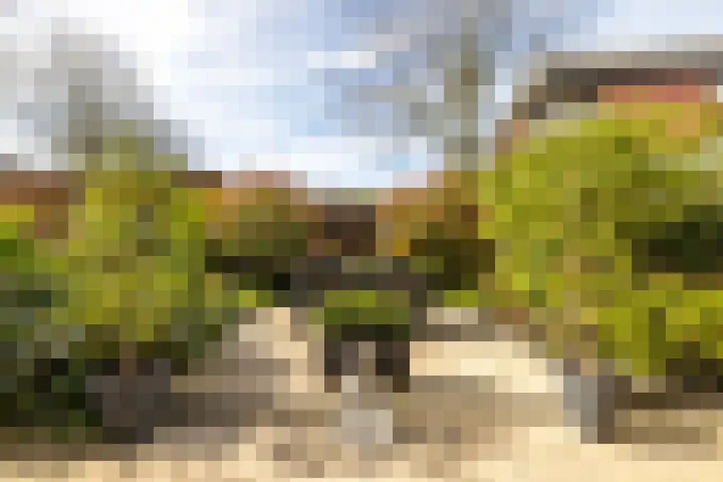 Afrikaring 133 Amersfoort thumbnail 42