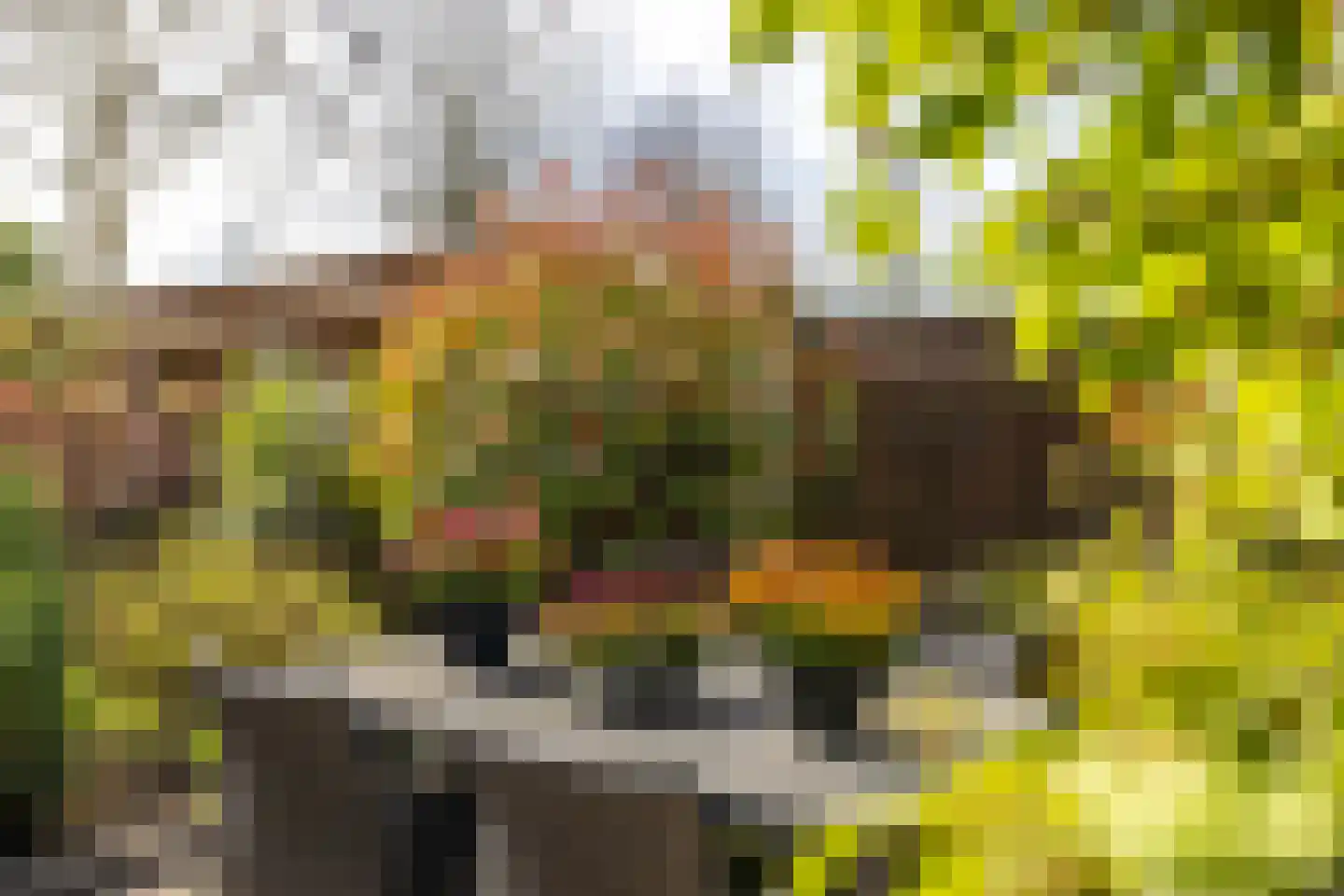 Afrikaring 133 Amersfoort thumbnail 46