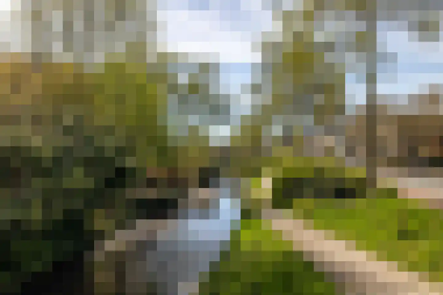 Afrikaring 133 Amersfoort thumbnail 55