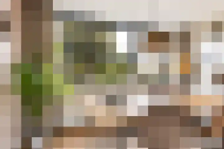 Afrikaring 39 Amersfoort thumbnail 18