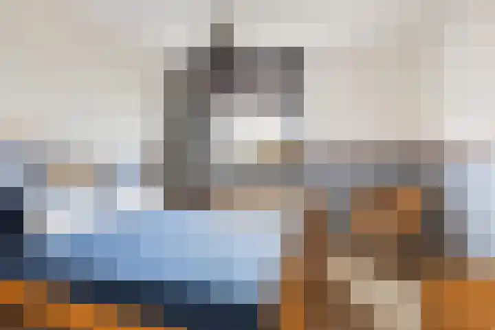Afrikaring 39 Amersfoort thumbnail 20