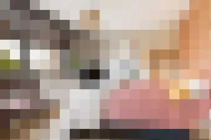 Afrikaring 39 Amersfoort thumbnail 23