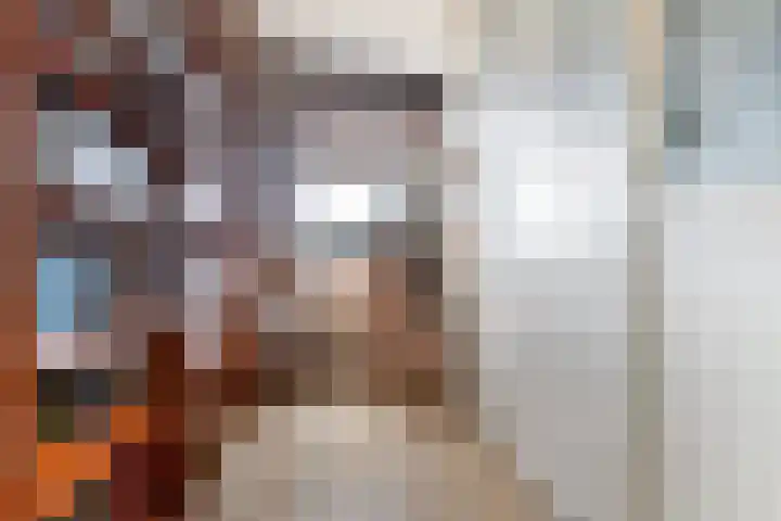 Afrikaring 39 Amersfoort thumbnail 25