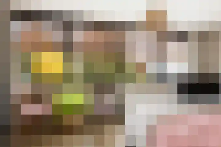 Afrikaring 39 Amersfoort thumbnail 29