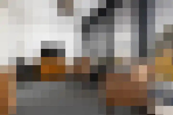Afrikaring 39 Amersfoort thumbnail 33
