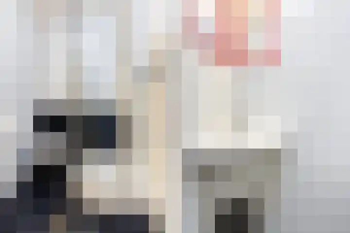Afrikaring 39 Amersfoort thumbnail 34