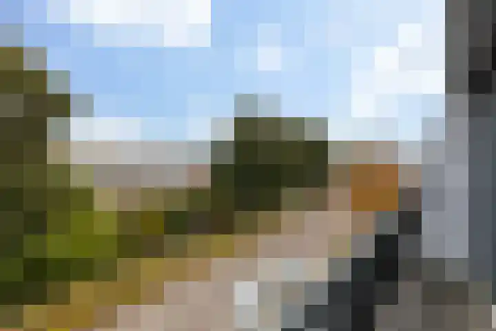 Afrikaring 39 Amersfoort thumbnail 39