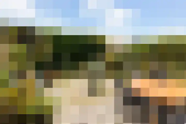 Afrikaring 39 Amersfoort thumbnail 42