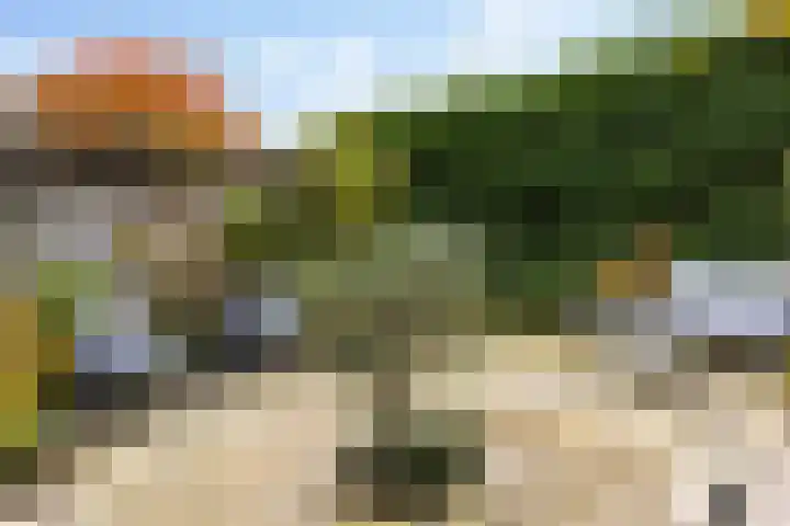 Afrikaring 39 Amersfoort thumbnail 43