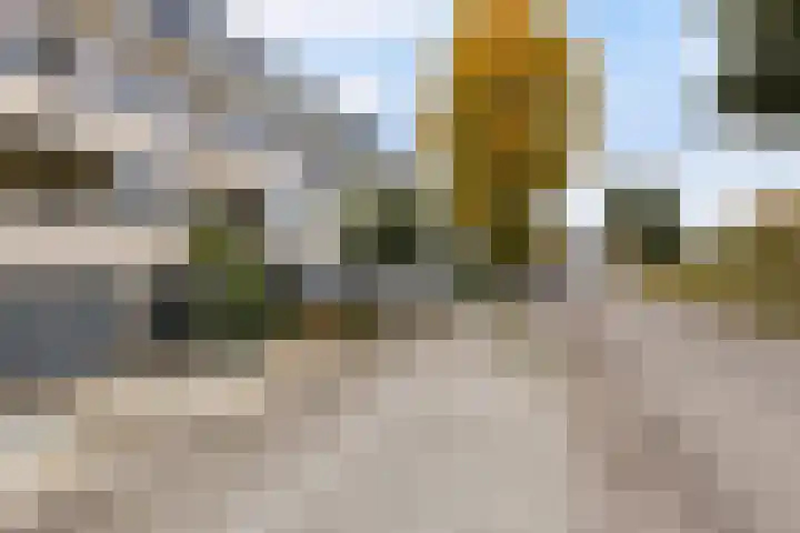 Afrikaring 39 Amersfoort thumbnail 49