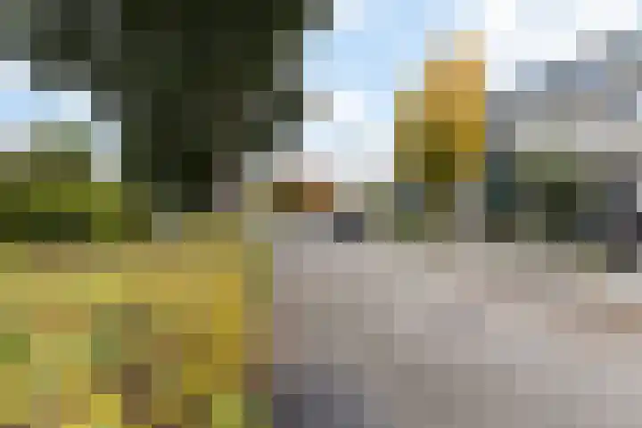 Afrikaring 39 Amersfoort thumbnail 50